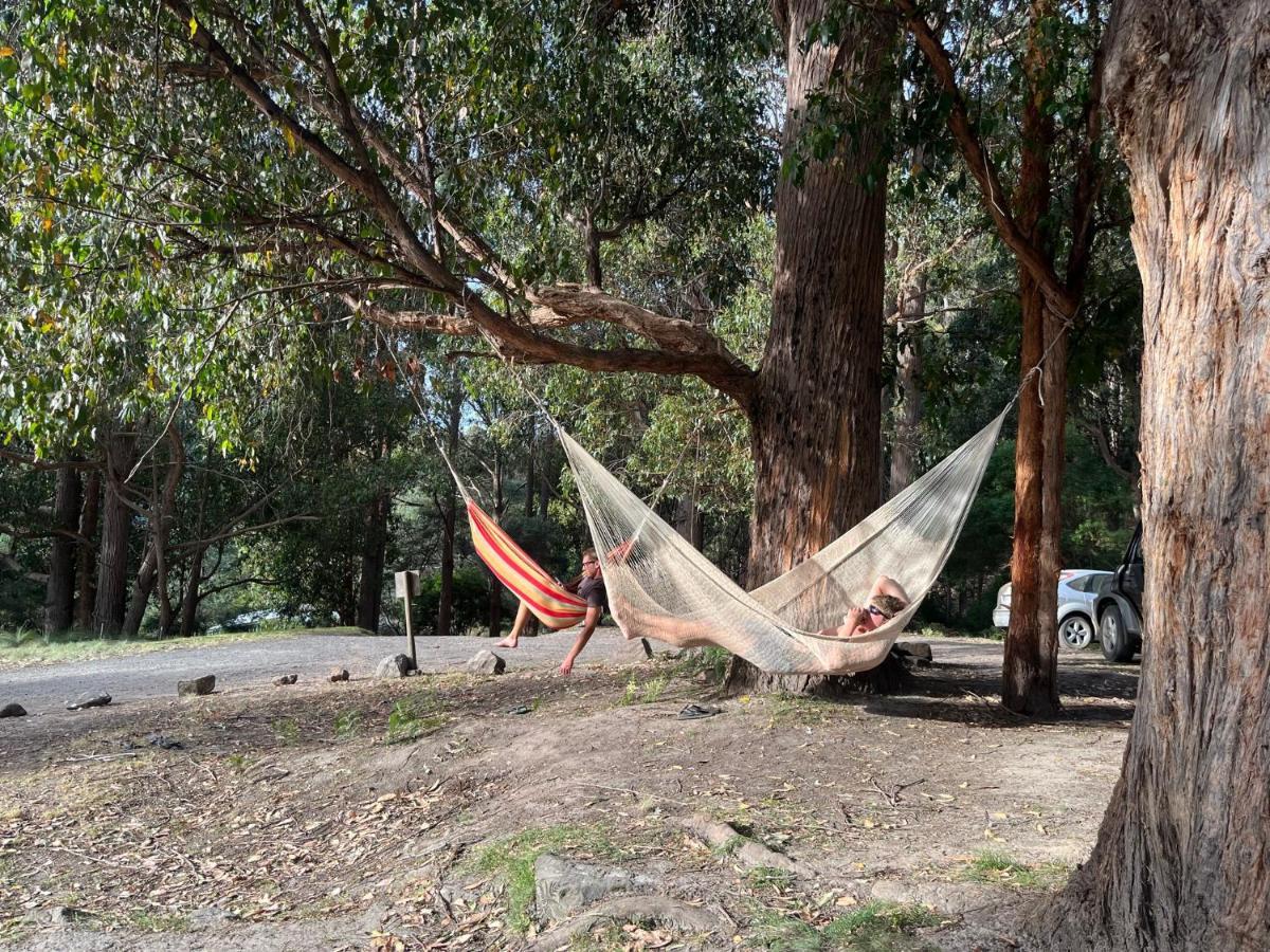 Base Camp Tasmania